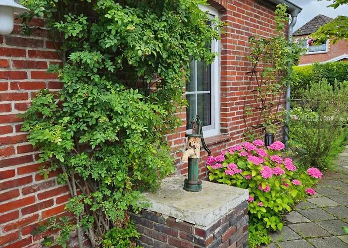 Rikes Hus Tatil Evi Nesse