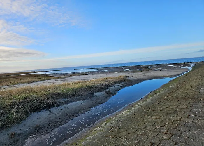 Tatil Evi Rikes Hus Nesse